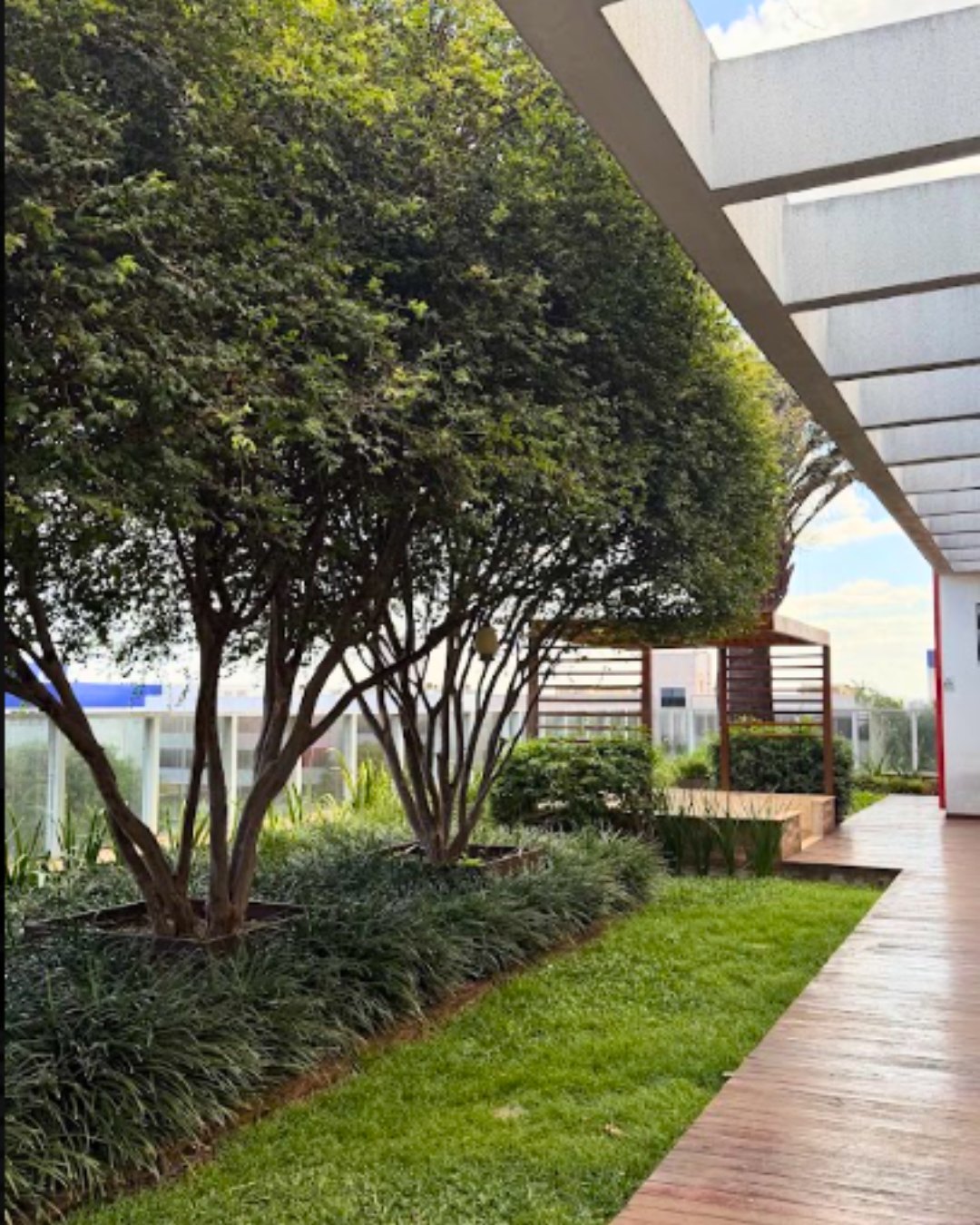 Área verde corporativa mantida pela R2 Service, com árvores, gramado e deck de madeira